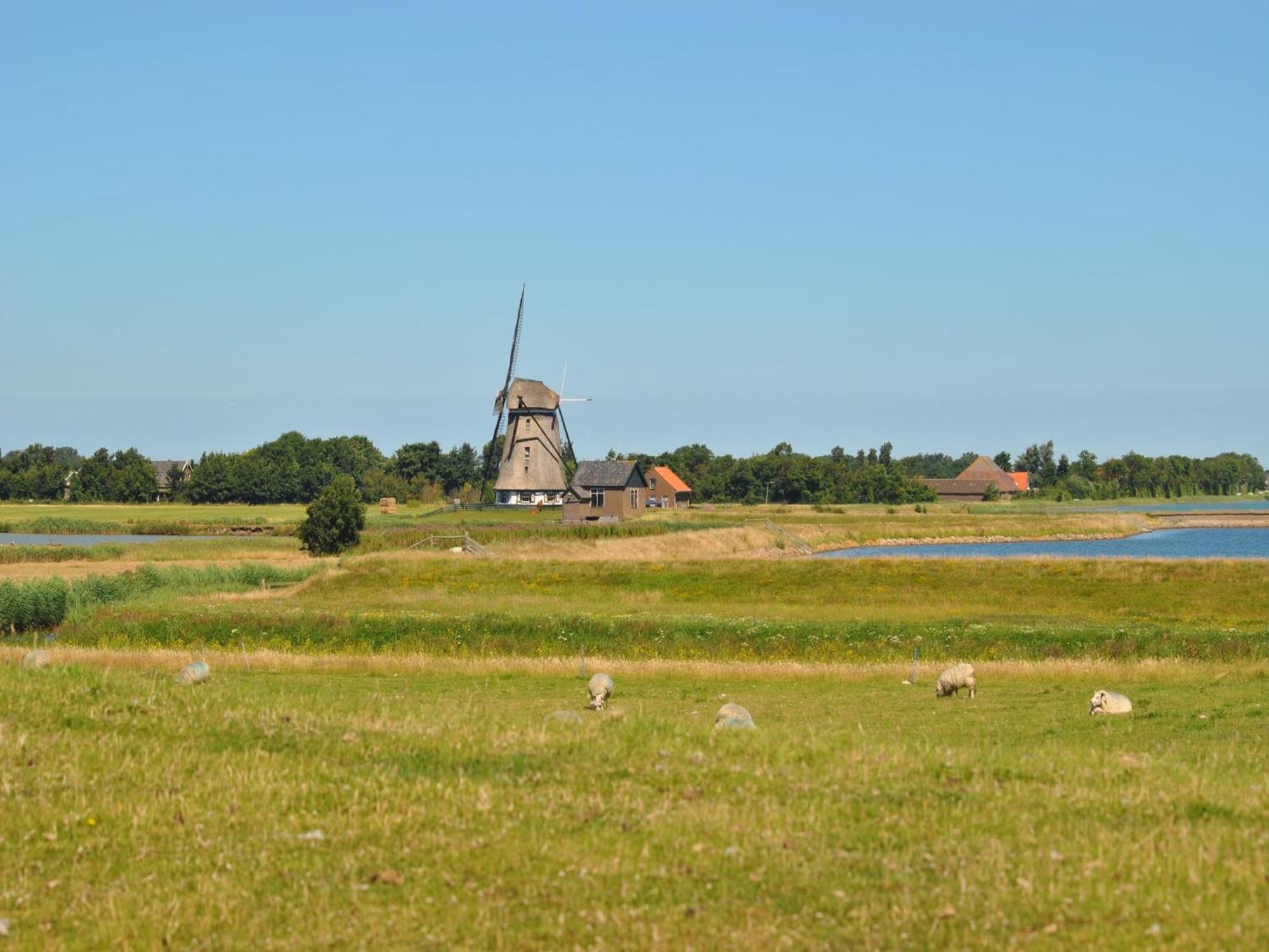 Lovely Holiday Home In Texel Near Sea Oost  Esterno foto