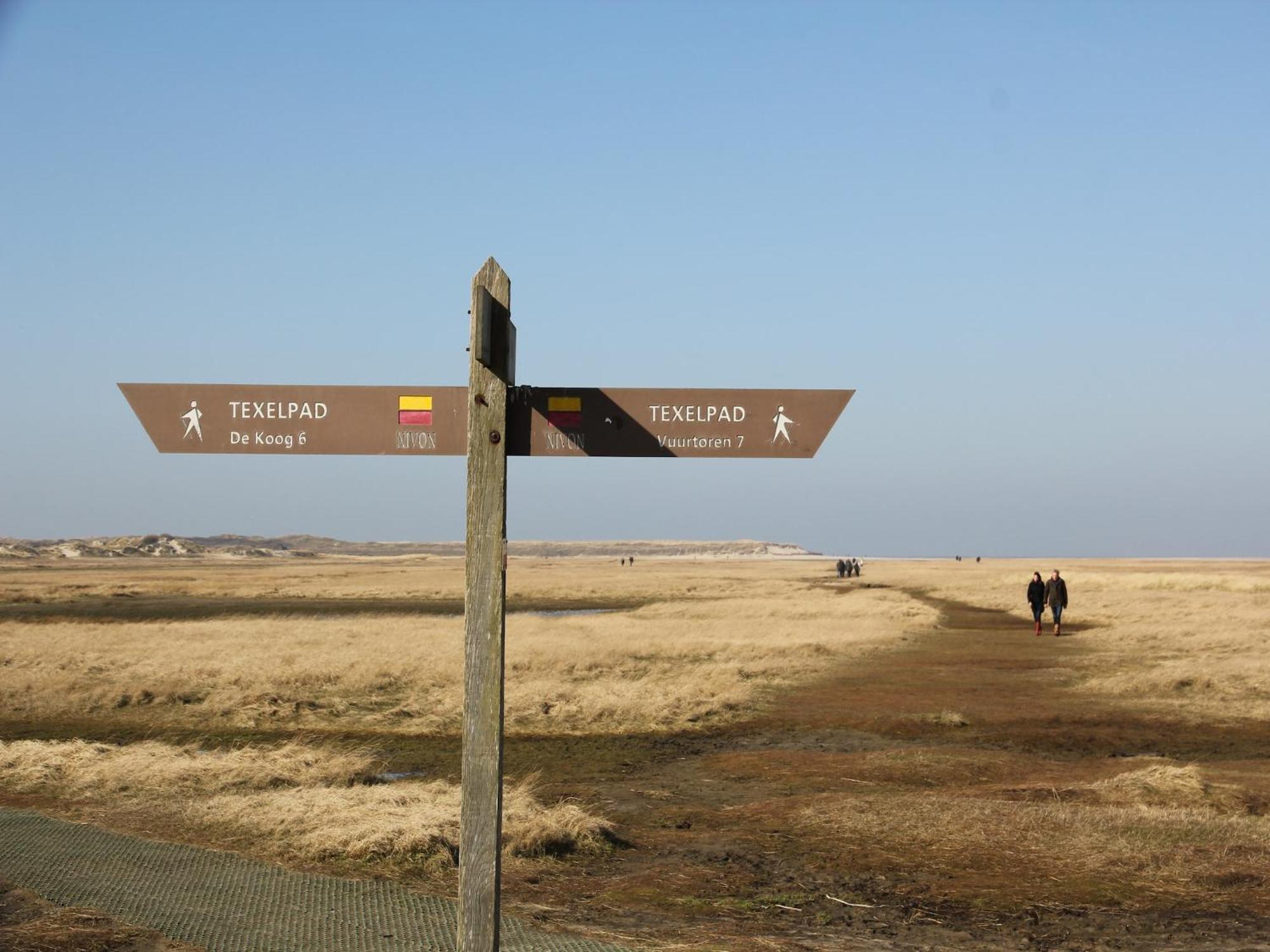 Lovely Holiday Home In Texel Near Sea Oost  Esterno foto