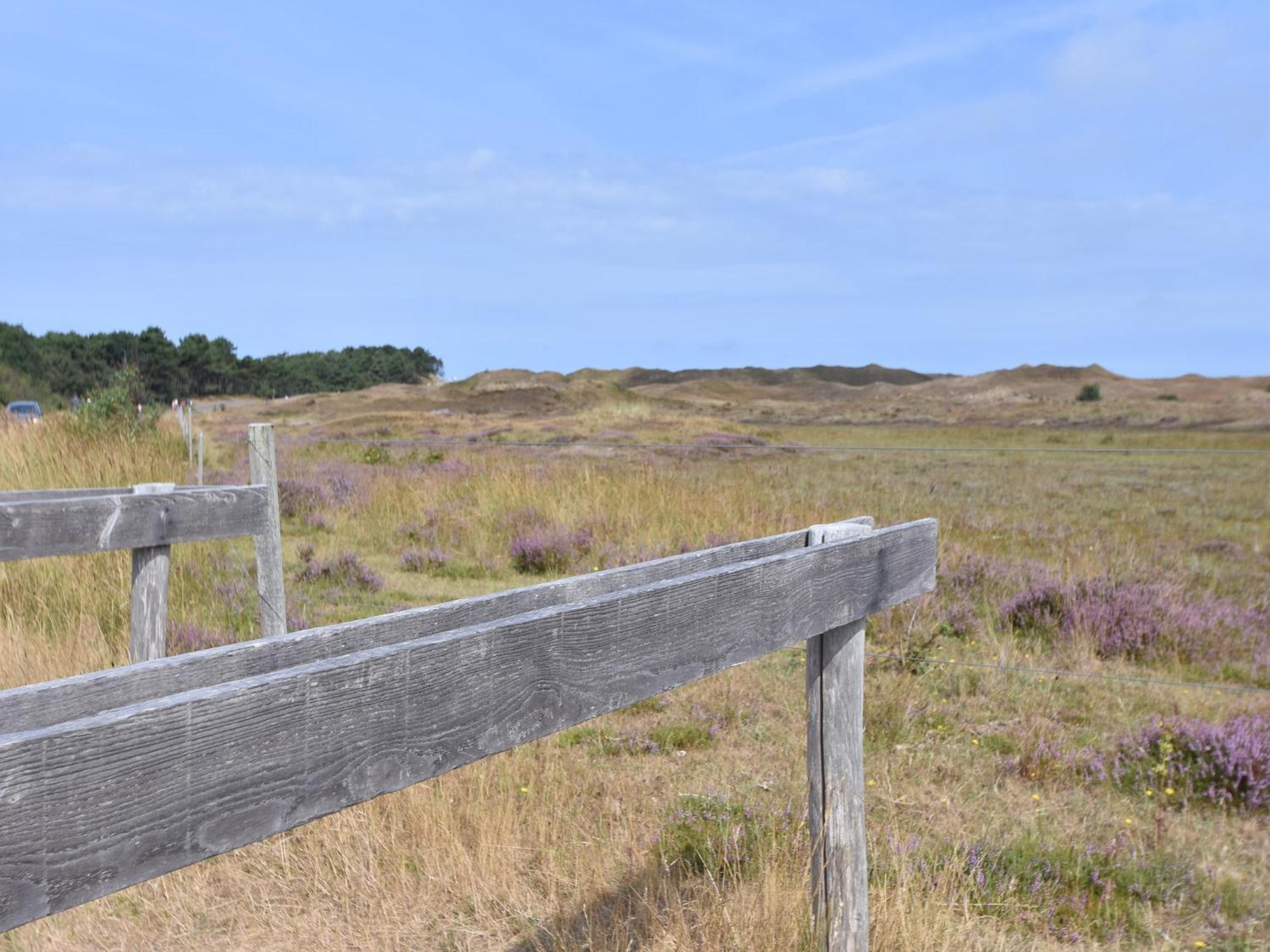 Lovely Holiday Home In Texel Near Sea Oost  Esterno foto