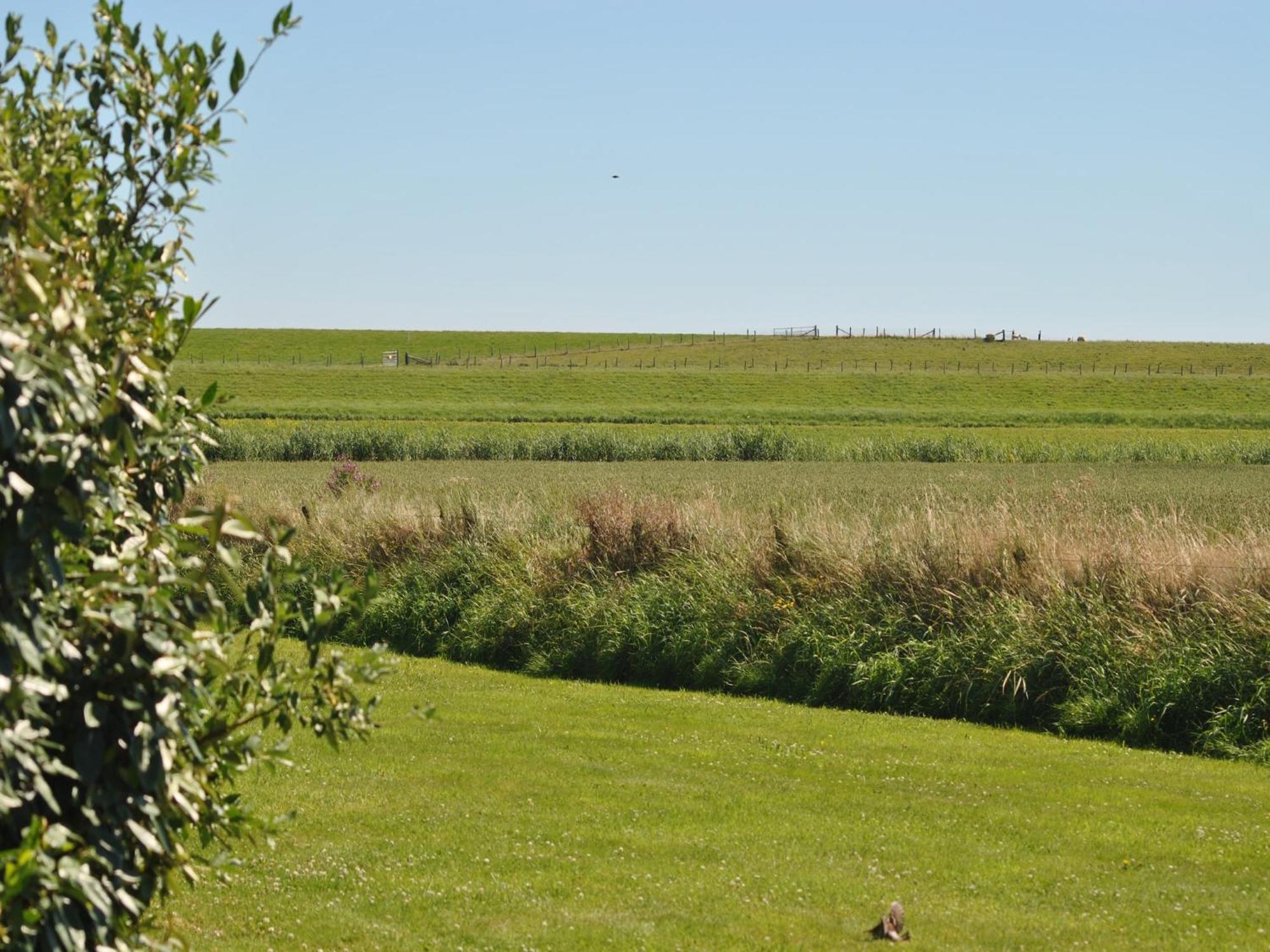Lovely Holiday Home In Texel Near Sea Oost  Esterno foto
